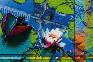 Münster Art 11
